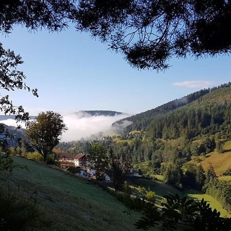 Ferienwohnung Tonbachtal Baiersbronn Luaran gambar