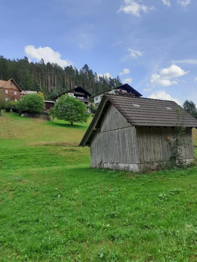 Ferienwohnung Tonbachtal Baiersbronn Luaran gambar